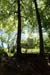 20150518_037