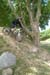 20150521v007
