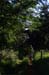 20170620_070