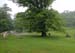 20180612_005