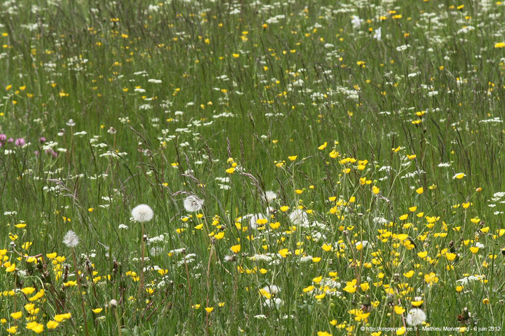 20120606_009