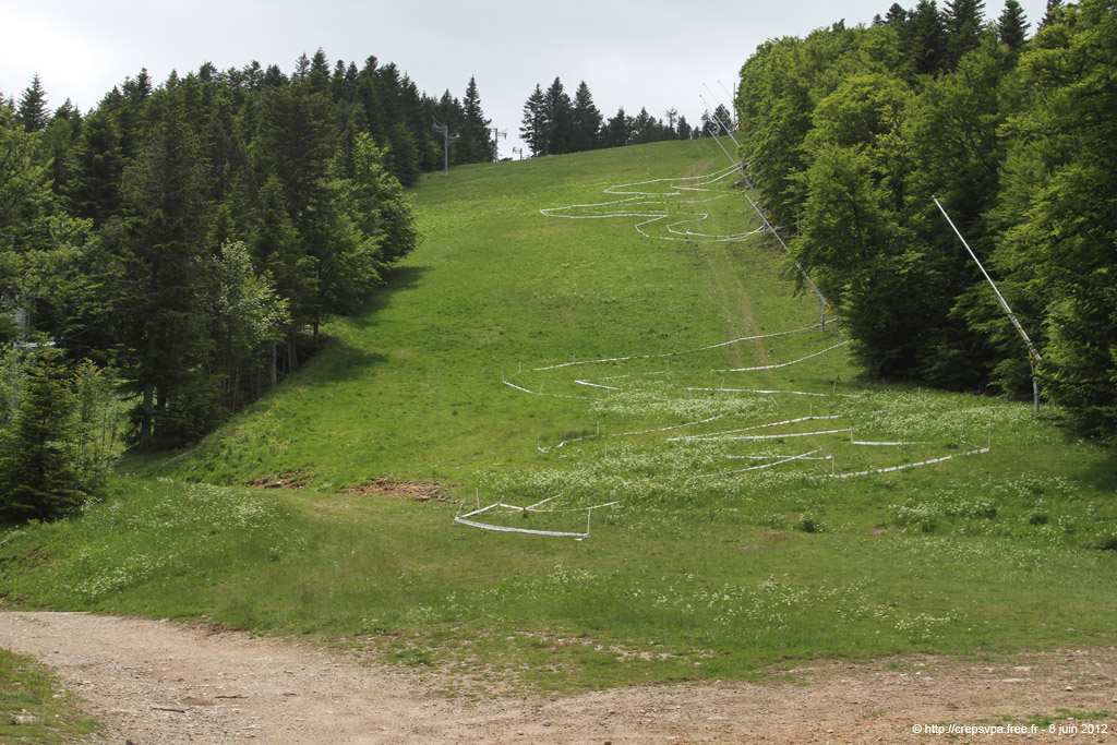20120608dh_001