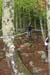 20120608dh_020