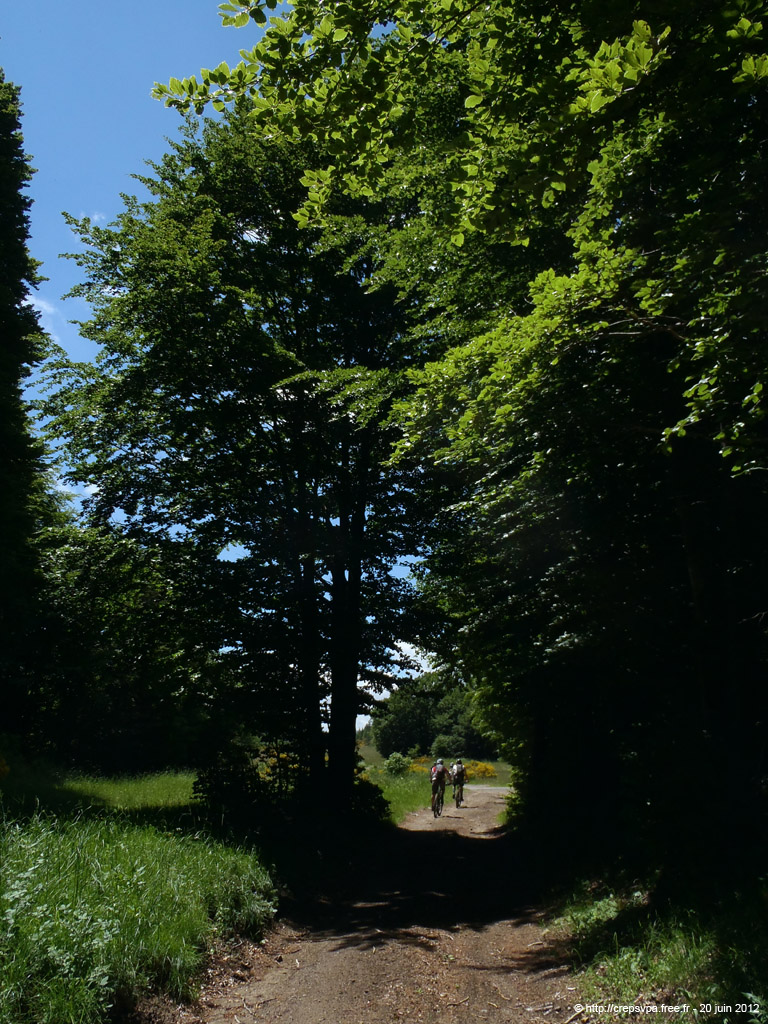 20120620_179