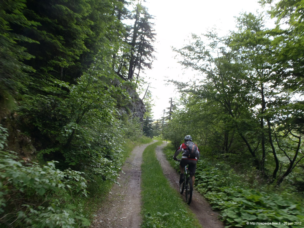 20120620_300