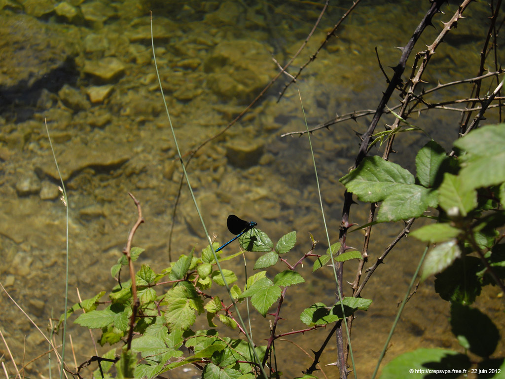20120622_130