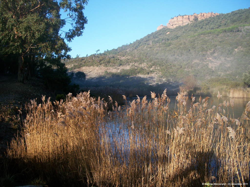 20111223_053