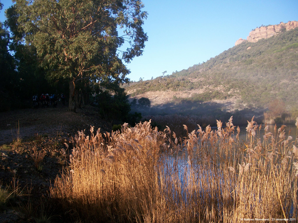20111223_054