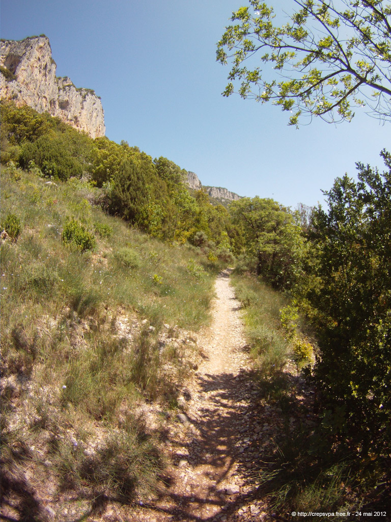 20120524_040