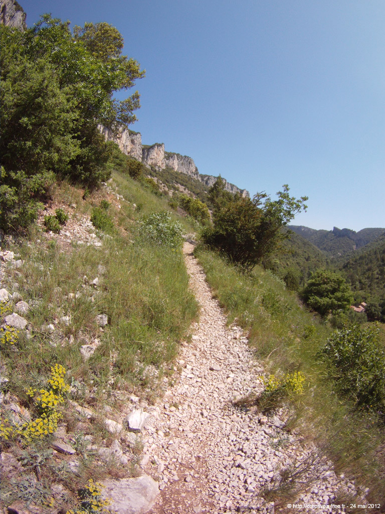 20120524_041