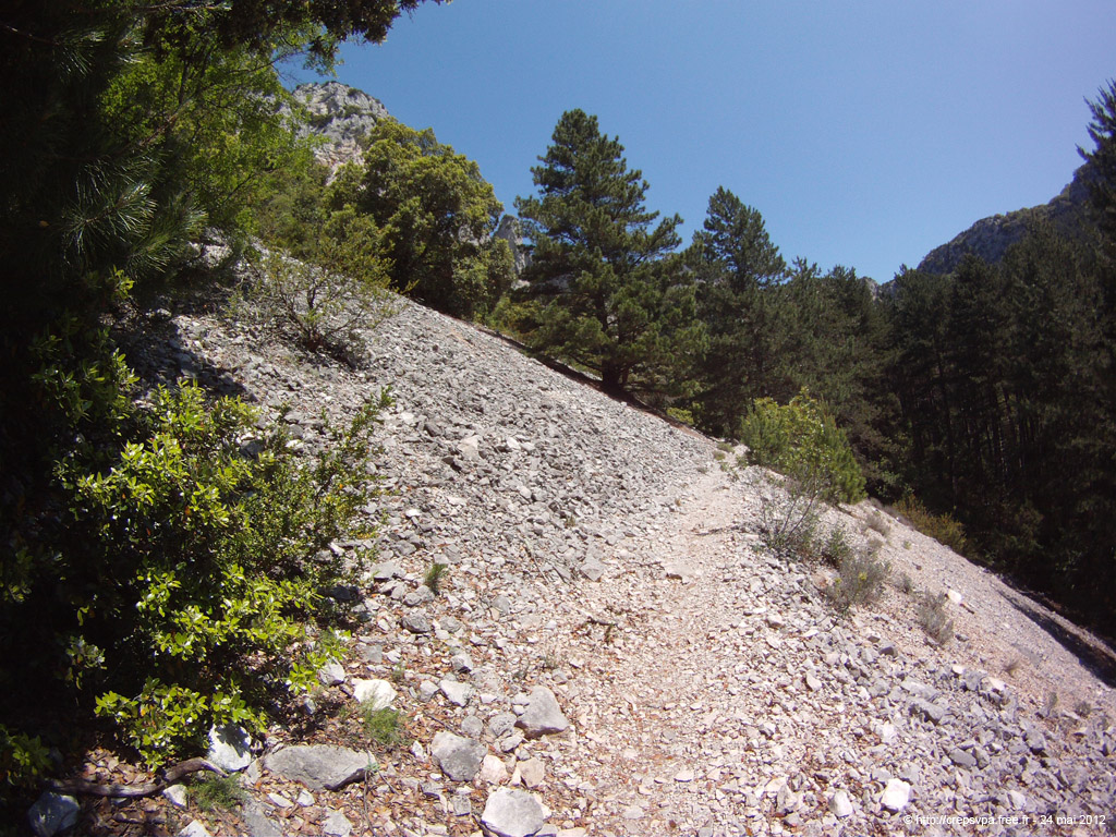 20120524_048