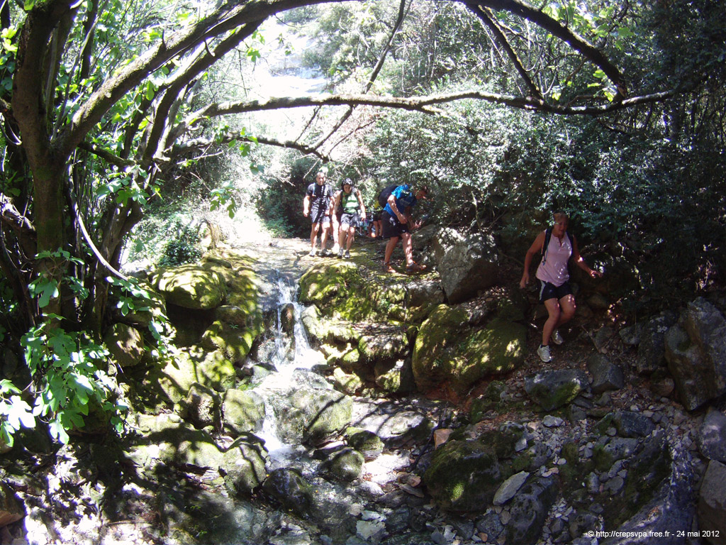 20120524_053