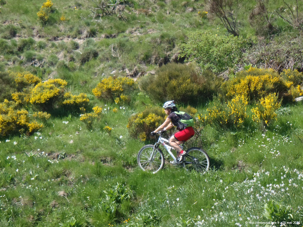 20120525_150