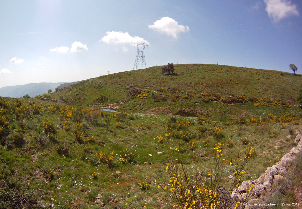 20120525_154