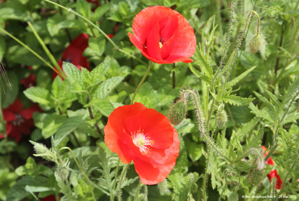 20120525_320