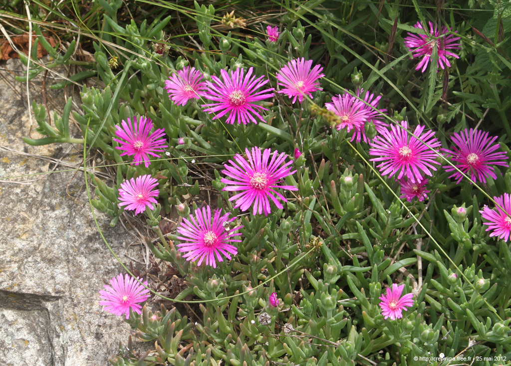 20120525_321