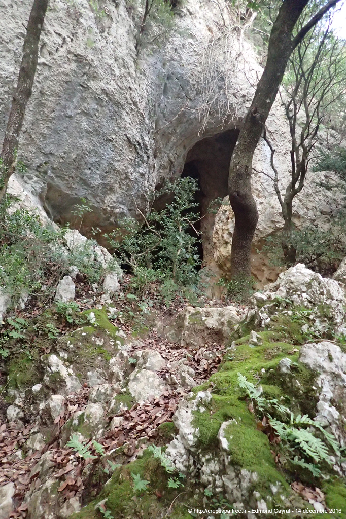 20161214_045eg