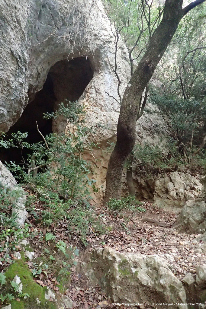 20161214_046eg